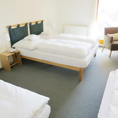 Szálloda & Restaurant Linde Wangen